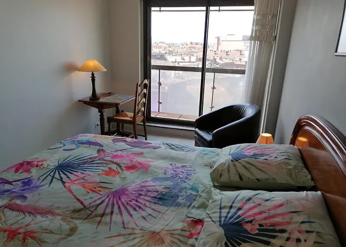 Apartamento Le Panoramic Toulouse